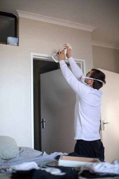 Best Asbestos and Lead Testing During Mold Inspection  in Timonium, MD