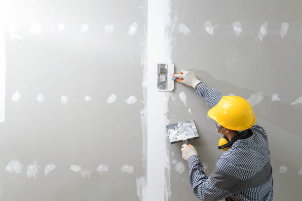 Best Post-Construction Mold Inspection  in Timonium, MD