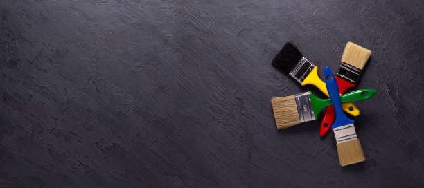 Best Black Mold Removal  in Timonium, MD