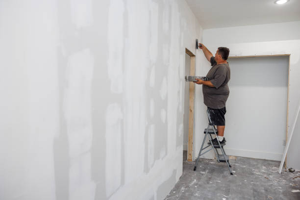 Professional Mold Removal in Timonium, MD