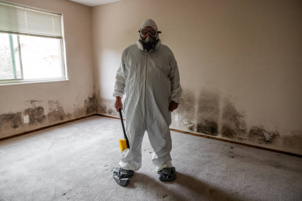 Best Mold Prevention Services  in Timonium, MD