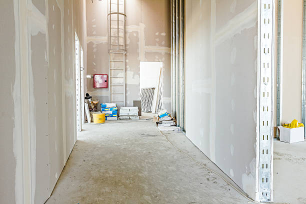 Best Air Quality Testing for Mold Spores  in Timonium, MD