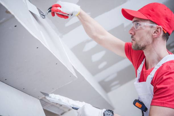 Best Dehumidification Services  in Timonium, MD